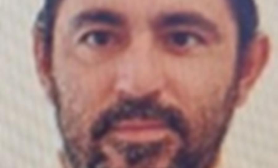 5394462308453710 cats