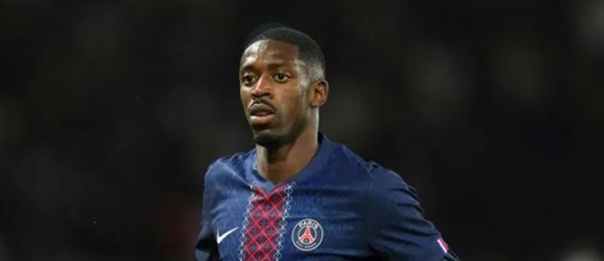 5395111550642151 cats