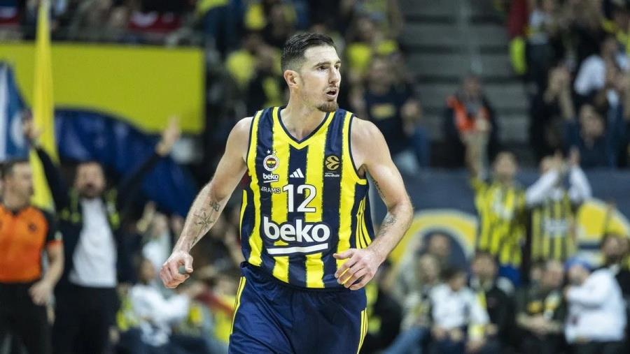 5395890546078301 decolo-1200x800