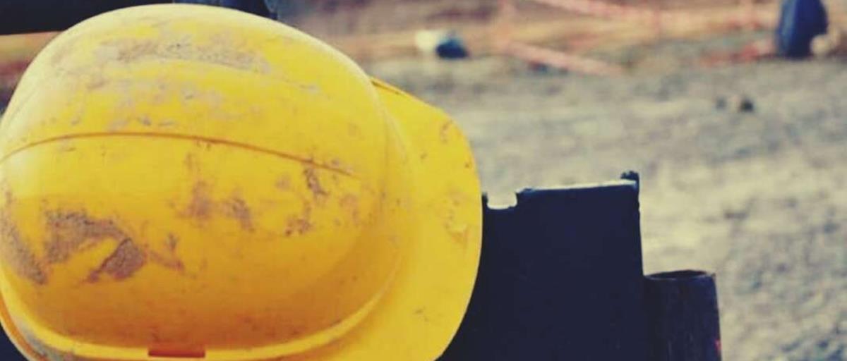 5399611116656662 cats