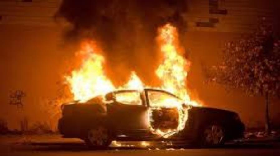 5400329013388491 cache 1300x500 Analog medium 1322674 82561 25 08 28 102734