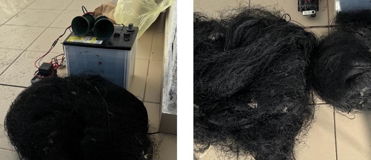 5400474004745749 cats