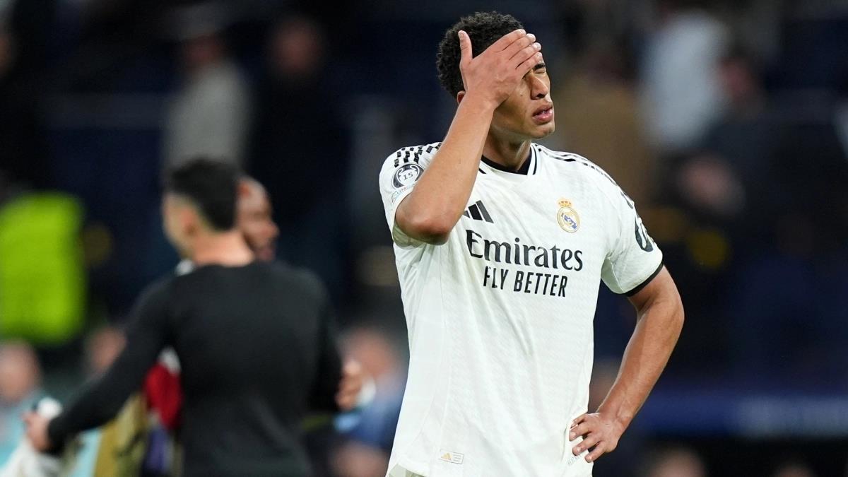 5401361009049351 image