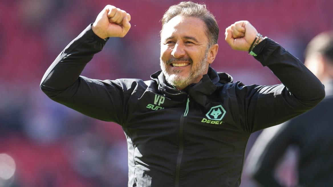 5402410165288481 image