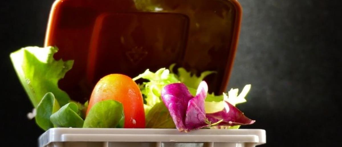 5402436087714180 cats