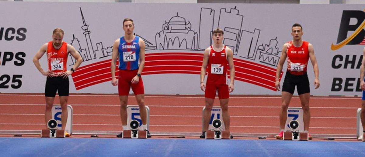 5402444365320945 cats