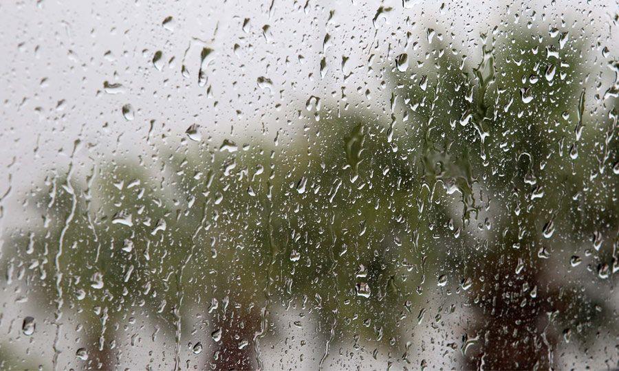 5402861972227866 image