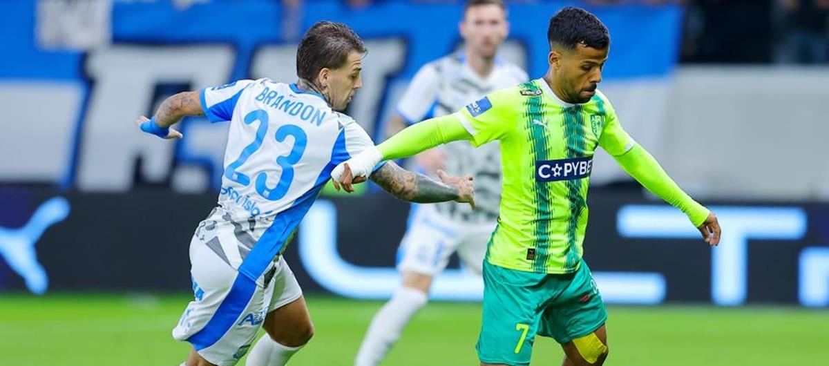 5402931236484752 cats