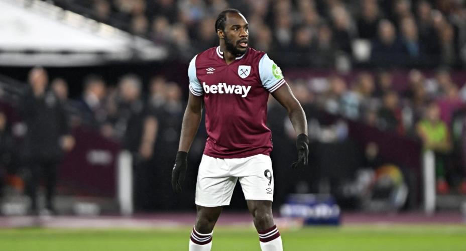 5403063987210496 image