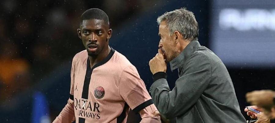 5403195741134024 cats