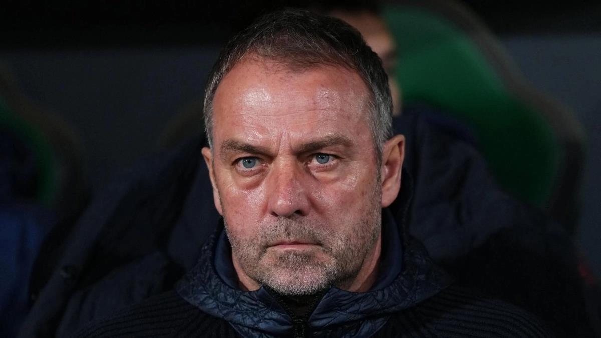 5405701818206536 image