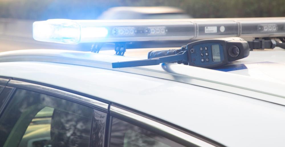 5406395771465037 cats