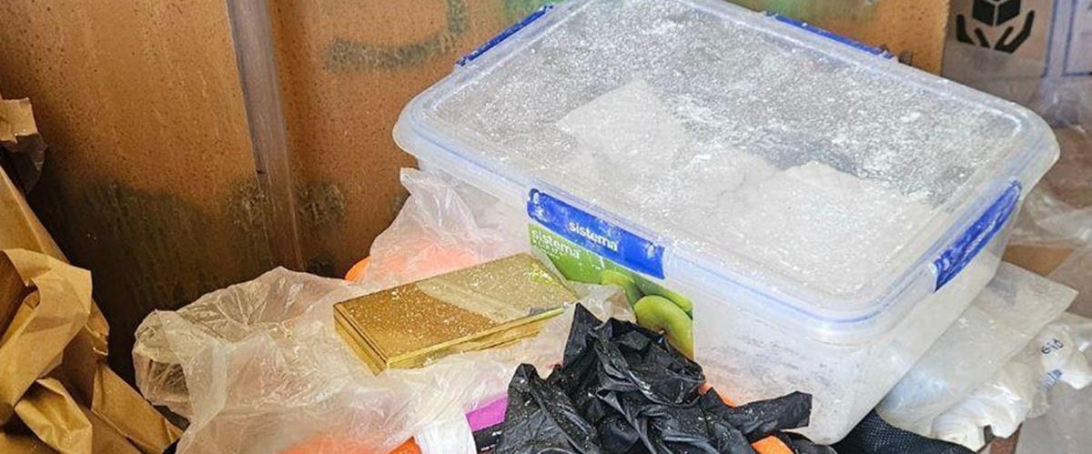 5408315385034217 cats