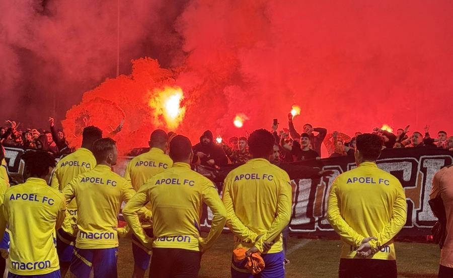 5408490762809074 cats