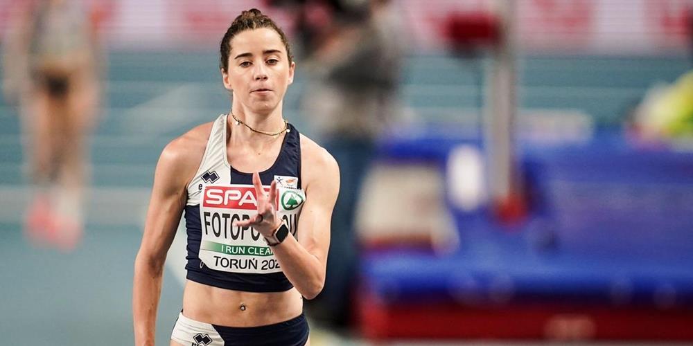 5409844094803936 cats