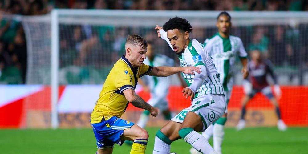 5409869166573638 cats