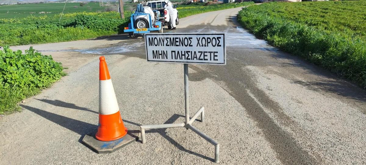 5410889167819377 cats