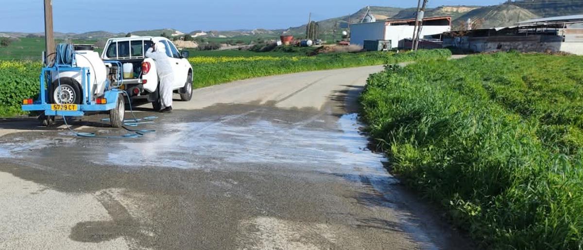 5411523689096874 cats