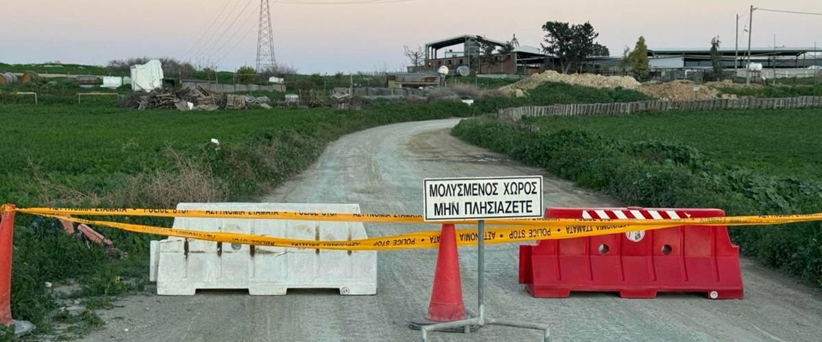 5411685489911647 image