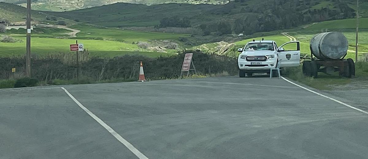 5411687798619579 cats