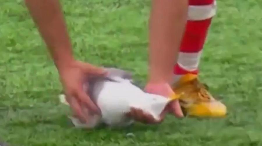 5412390167051171 3456-1200x800