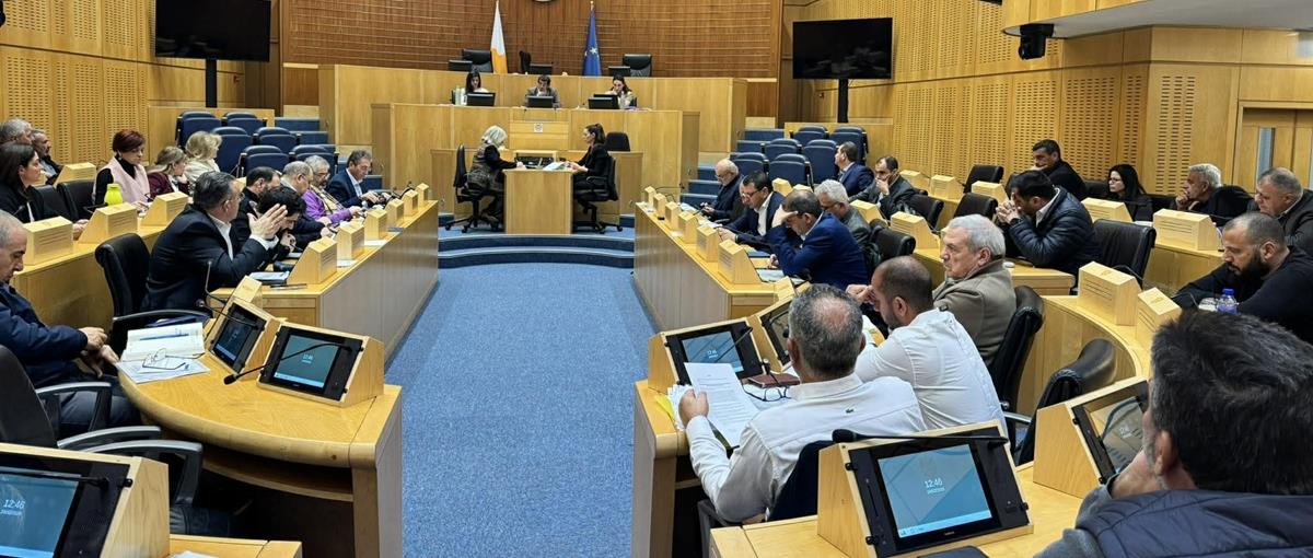 5412429573166446 cats