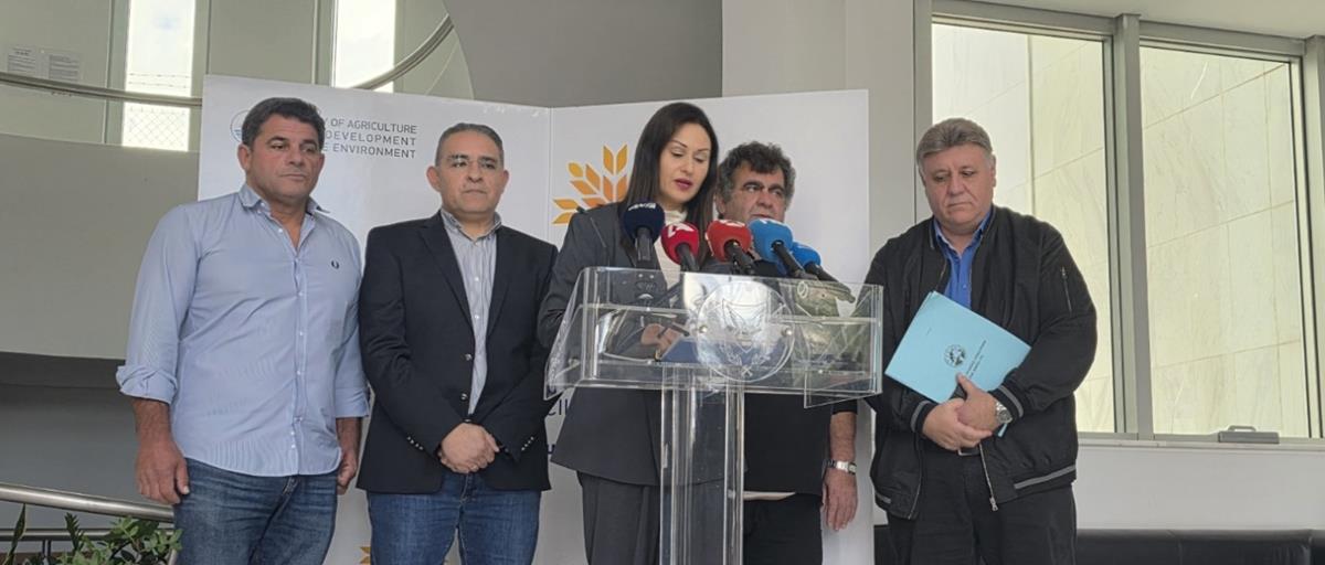 5412564713751762 cats