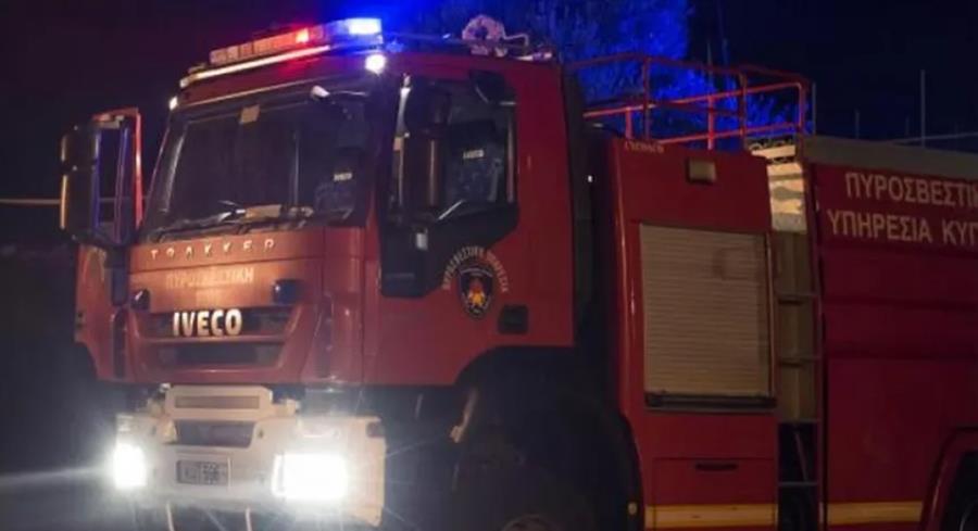 5412588015105379 cats