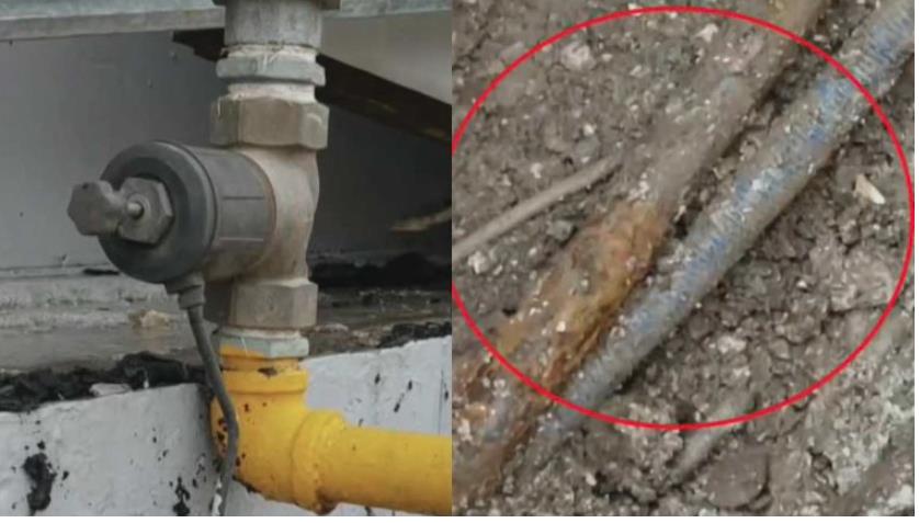 5413249421184779 image