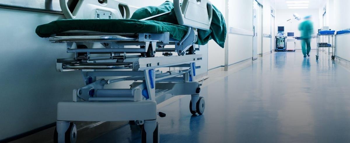 5413593909031834 cats