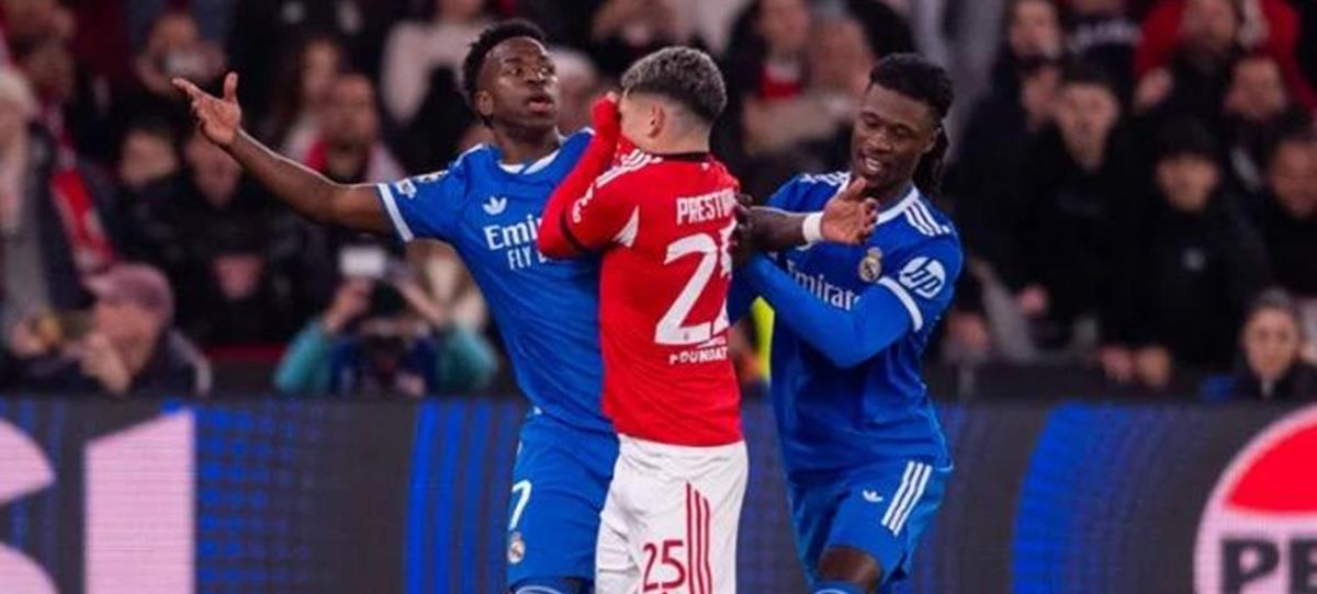 5414265726084280 cats