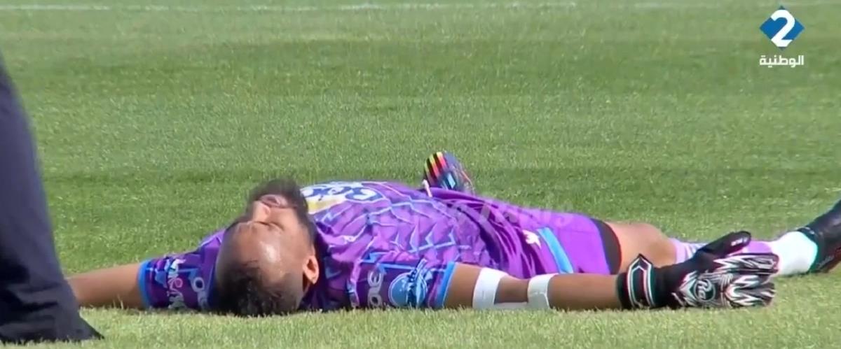 5417030350078199 cats