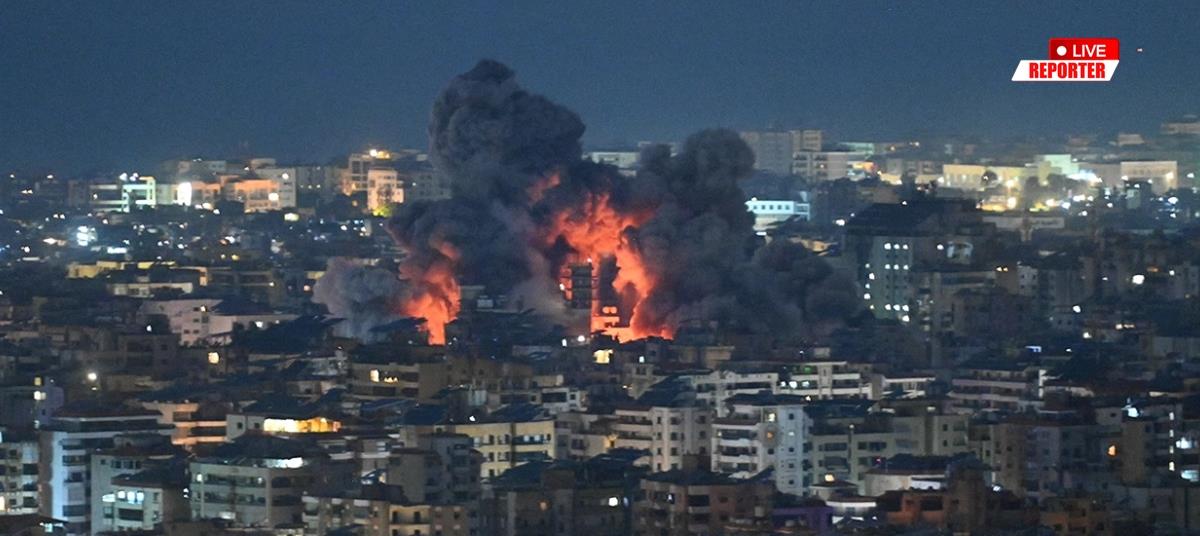 5417534995233480 cats