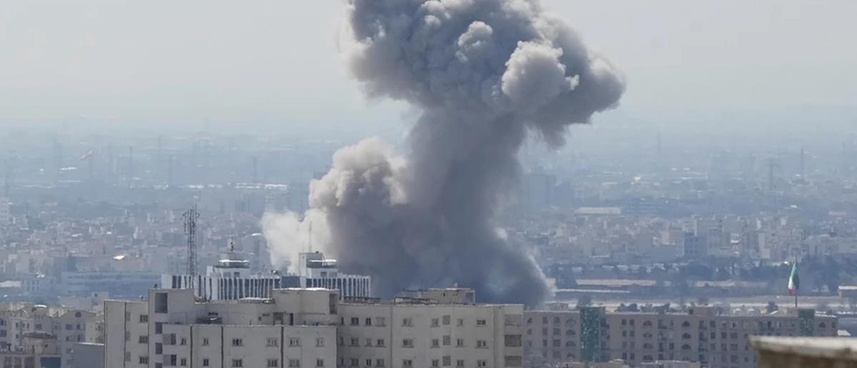 5417734895129462 cats