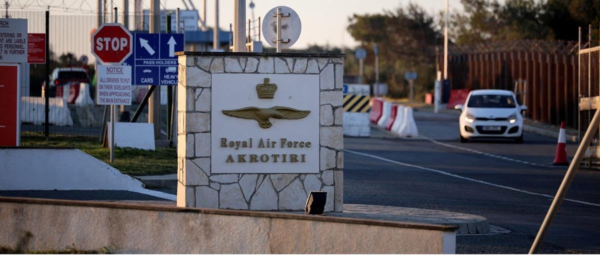 5419757380516983 cats