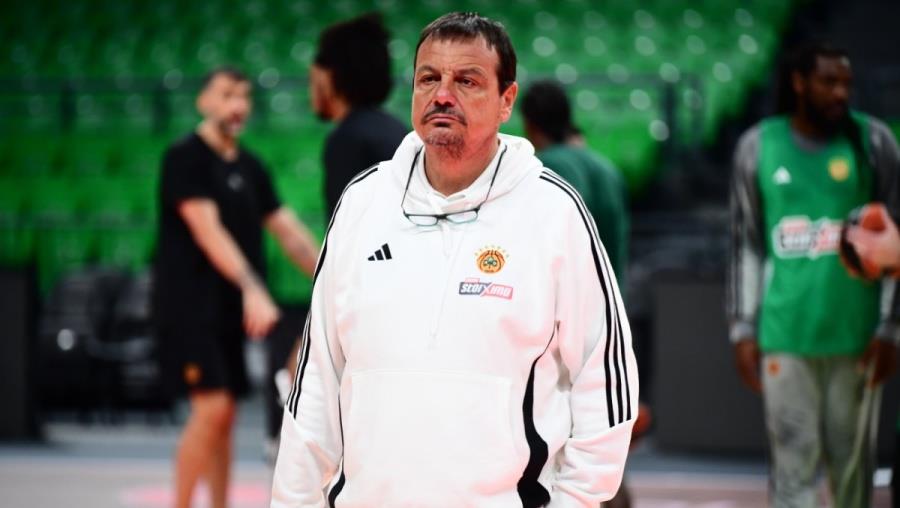 5420457174700649 6880593-1200x800