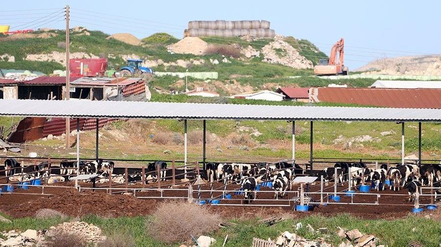 Ευθείες βολές Οικολόγων σε Κυβέρνηση και Παναγιώτου για τον αφθώδη πυρετό-Ζητούν παύση της υπουργού