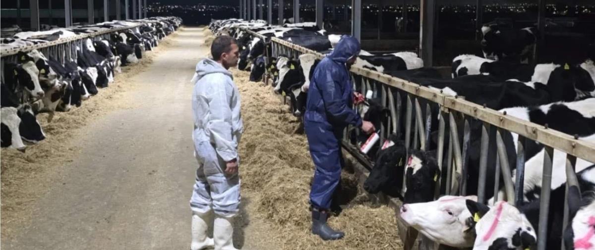 5421963111420079 f40100aa 09a3 4dda 9cd4 9238b6437923 mixcollage 27 feb 2026 08 45 am 6431