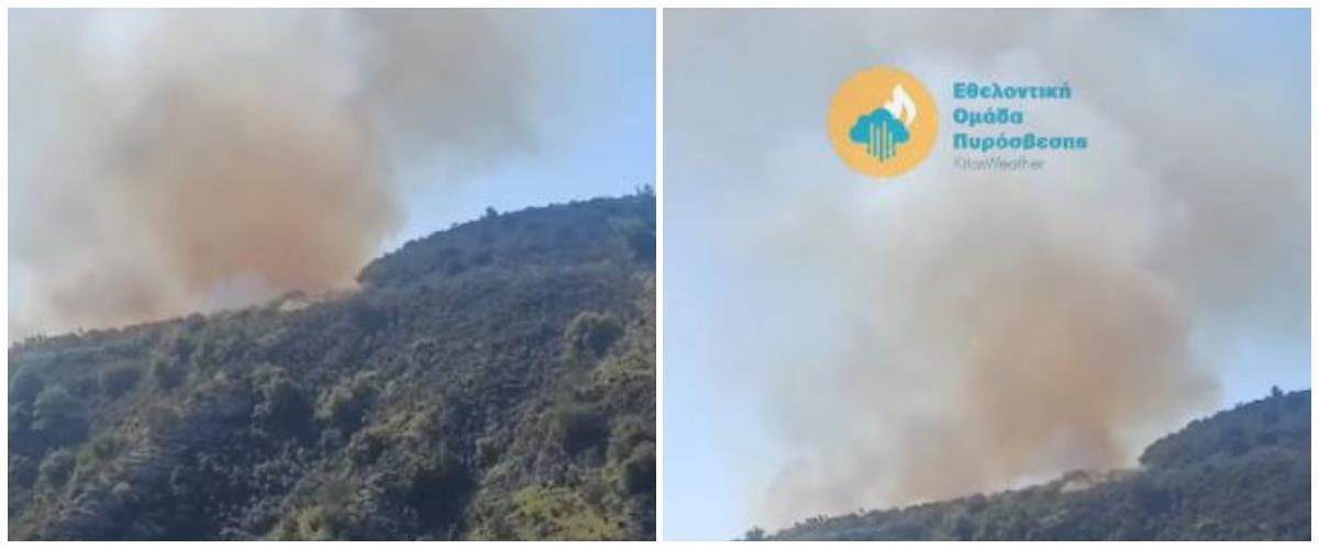 5421981239028888 collage