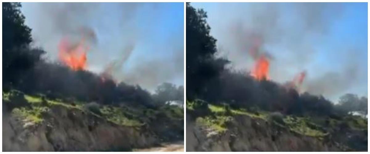 5422160141786002 collage