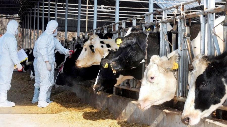 5422211548129890 afthodhs pyretos