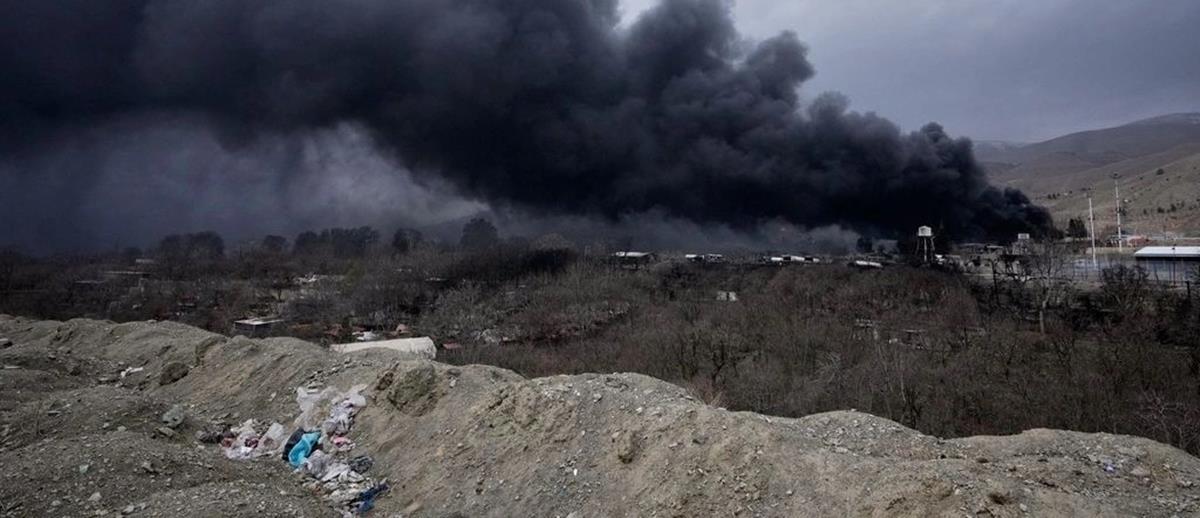 5422846146359469 cats