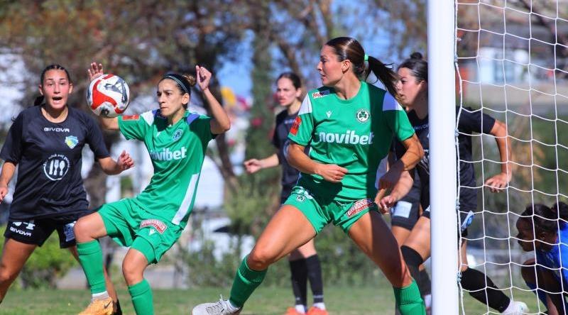 5422969549635992 cats