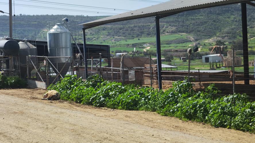 5423009569533160 639105595 1259749582713509 5490633238599004233 n