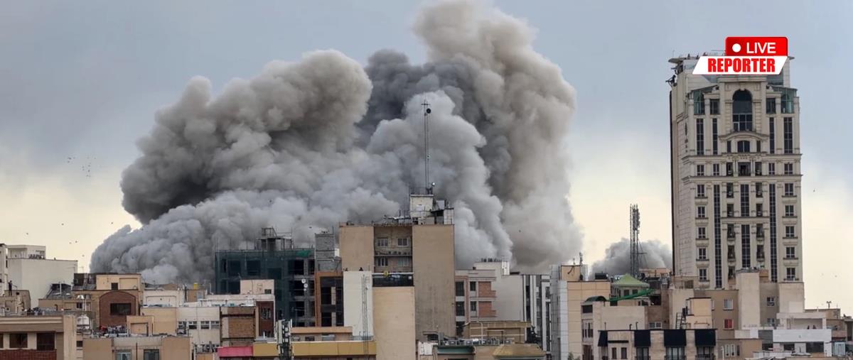 5423583219197359 cats