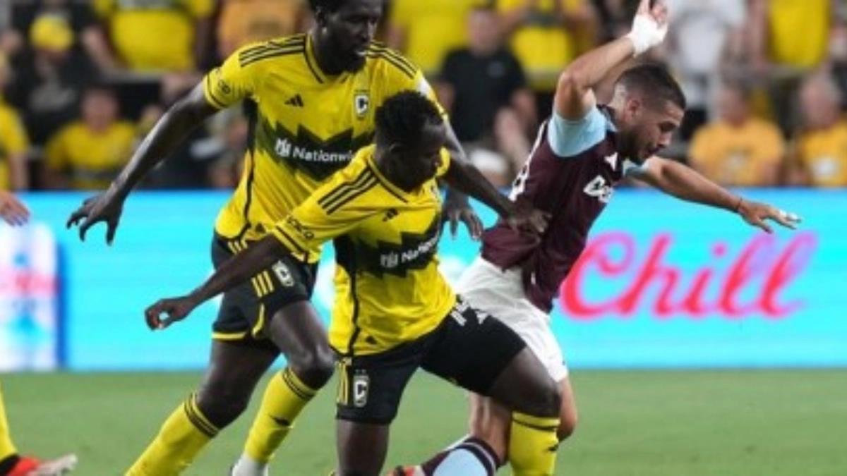 5423901666204976 image