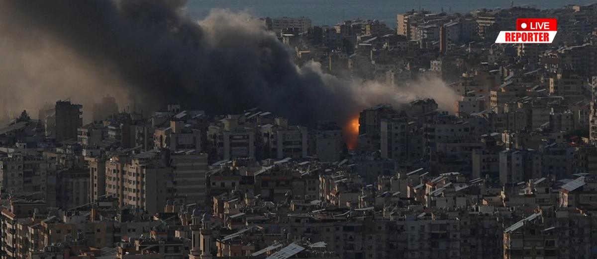 5425635450538156 cats