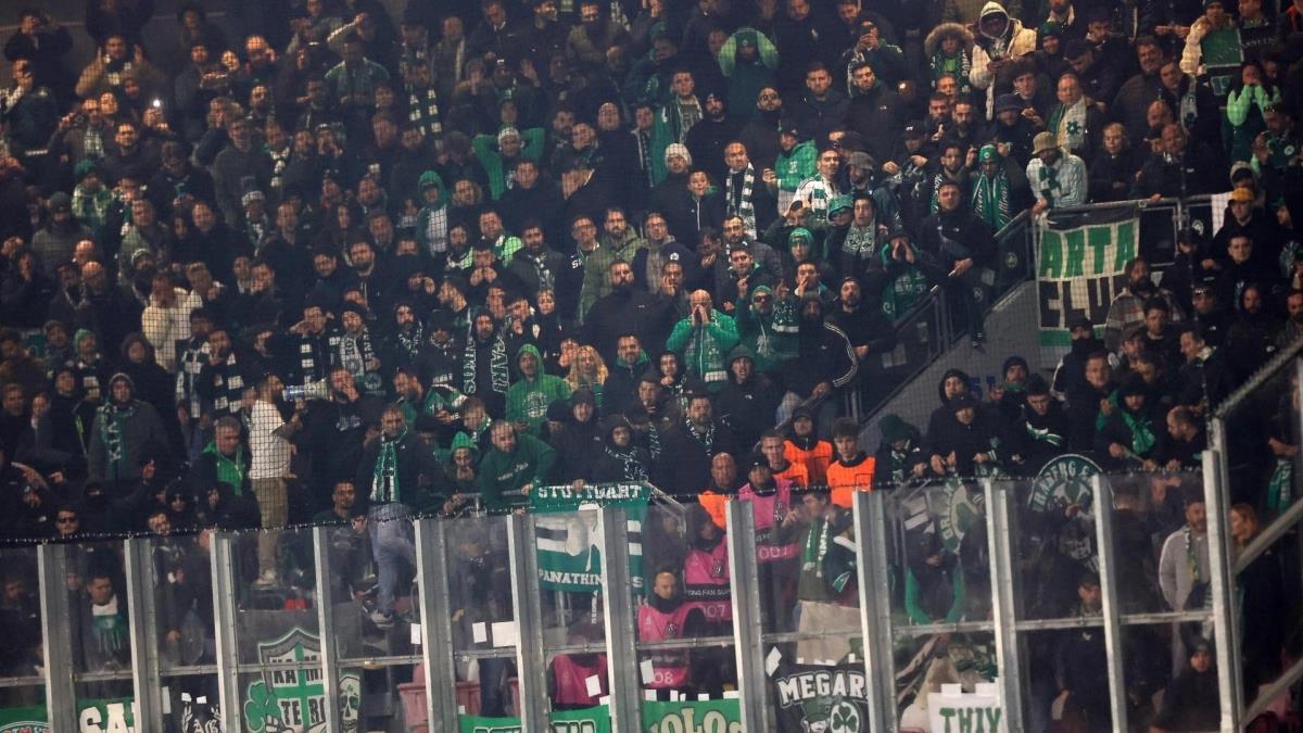 5427175206281280 image