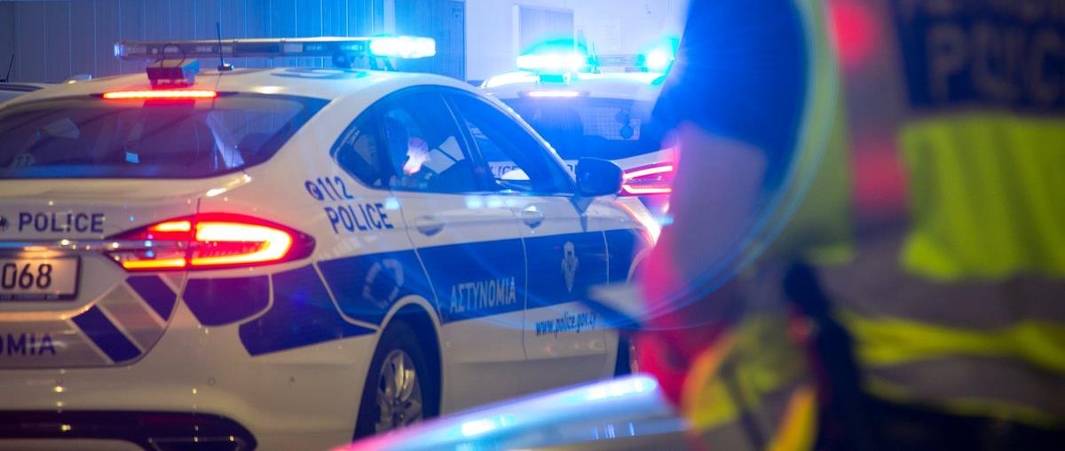 5427945756977290 cats