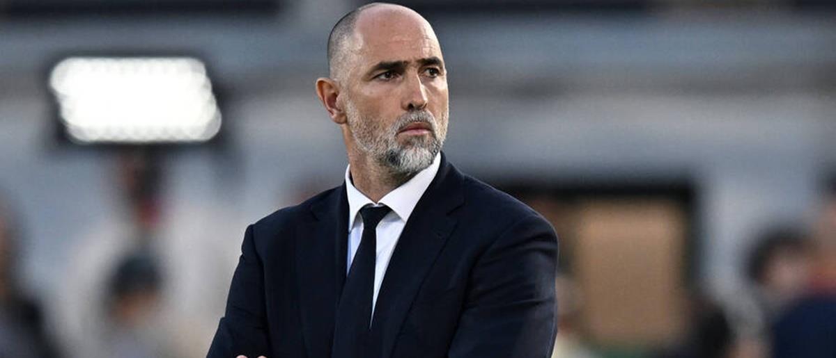 5428141560512841 cats